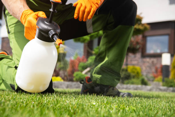 Best Affordable Pest Control Services  in Barrett, TX