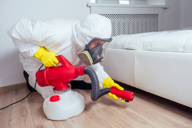 Best Bed Bug Extermination  in Barrett, TX