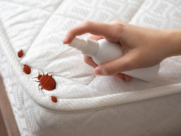 Best Cockroach Control Services  in Barrett, TX